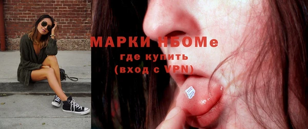 шишки Алексин