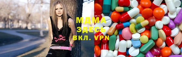 гидра Алексеевка
