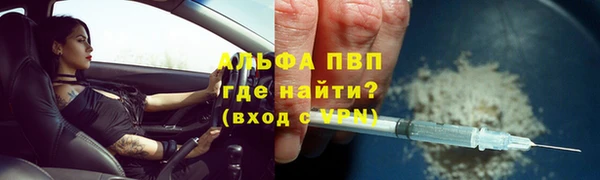 шишки Алексин