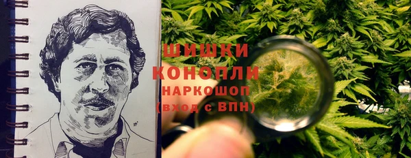 шишки Алексин