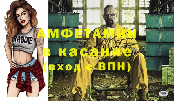 шишки Алексин