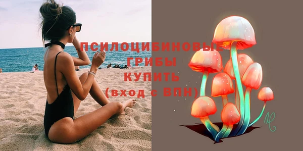 гидра Алзамай