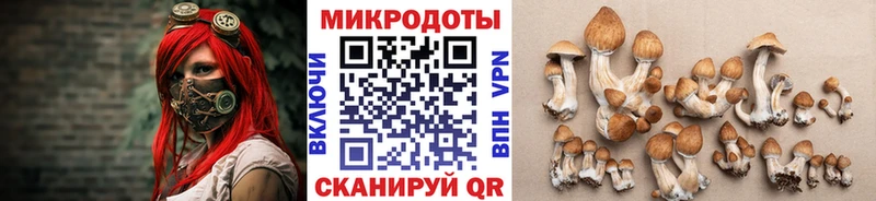 где купить наркоту  Мантурово  Псилоцибиновые грибы Cubensis 